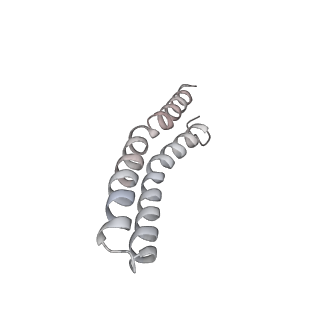 21266_6voj_R_v1-1
Chloroplast ATP synthase (R3, CF1FO)