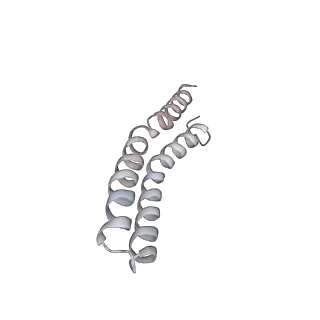 21266_6voj_R_v1-2
Chloroplast ATP synthase (R3, CF1FO)