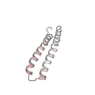 21266_6voj_V_v1-2
Chloroplast ATP synthase (R3, CF1FO)