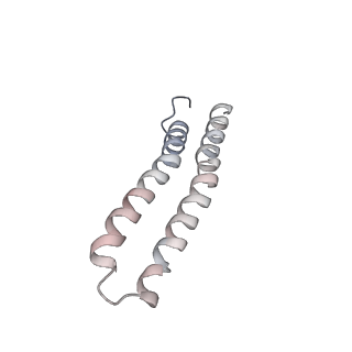 21266_6voj_W_v1-1
Chloroplast ATP synthase (R3, CF1FO)