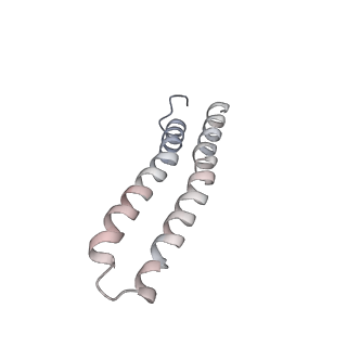 21266_6voj_W_v1-2
Chloroplast ATP synthase (R3, CF1FO)