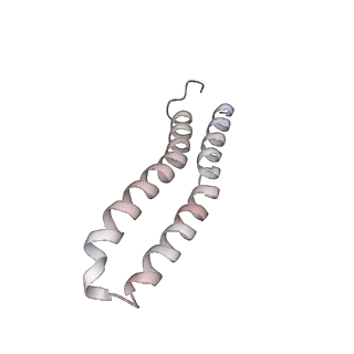 21266_6voj_X_v1-2
Chloroplast ATP synthase (R3, CF1FO)