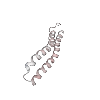 21266_6voj_Y_v1-1
Chloroplast ATP synthase (R3, CF1FO)