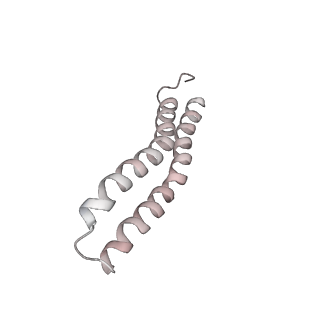 21266_6voj_Y_v1-2
Chloroplast ATP synthase (R3, CF1FO)