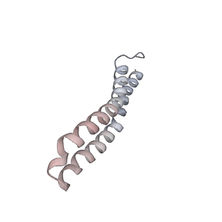 21266_6voj_Z_v1-1
Chloroplast ATP synthase (R3, CF1FO)