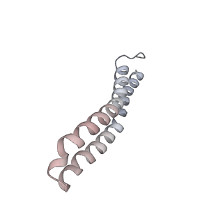 21266_6voj_Z_v1-2
Chloroplast ATP synthase (R3, CF1FO)