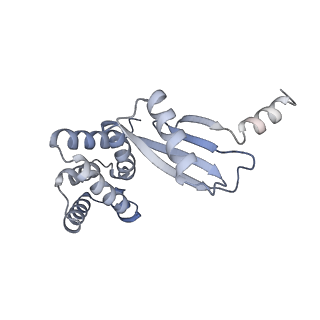 21266_6voj_d_v1-1
Chloroplast ATP synthase (R3, CF1FO)