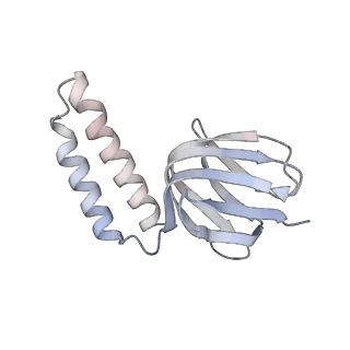 21266_6voj_e_v1-1
Chloroplast ATP synthase (R3, CF1FO)