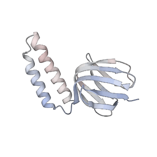 21266_6voj_e_v1-2
Chloroplast ATP synthase (R3, CF1FO)