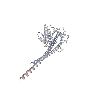 21266_6voj_g_v1-1
Chloroplast ATP synthase (R3, CF1FO)