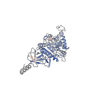 21267_6vok_A_v1-1
Chloroplast ATP synthase (R3, CF1)