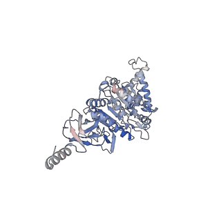 21267_6vok_A_v1-2
Chloroplast ATP synthase (R3, CF1)