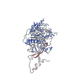 21267_6vok_B_v1-1
Chloroplast ATP synthase (R3, CF1)
