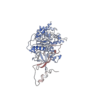 21267_6vok_B_v1-2
Chloroplast ATP synthase (R3, CF1)