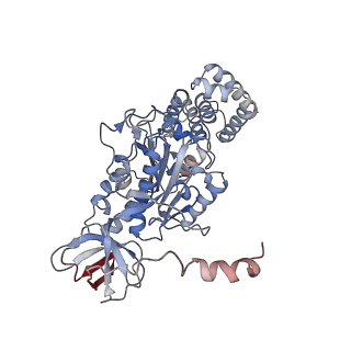 21267_6vok_C_v1-1
Chloroplast ATP synthase (R3, CF1)