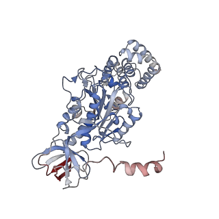 21267_6vok_C_v1-2
Chloroplast ATP synthase (R3, CF1)