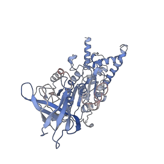 21267_6vok_D_v1-1
Chloroplast ATP synthase (R3, CF1)