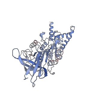 21267_6vok_D_v1-2
Chloroplast ATP synthase (R3, CF1)