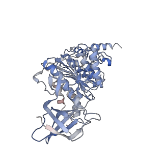 21267_6vok_E_v1-1
Chloroplast ATP synthase (R3, CF1)
