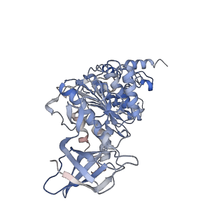 21267_6vok_E_v1-2
Chloroplast ATP synthase (R3, CF1)