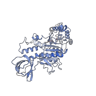21267_6vok_F_v1-1
Chloroplast ATP synthase (R3, CF1)