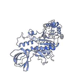 21267_6vok_F_v1-2
Chloroplast ATP synthase (R3, CF1)