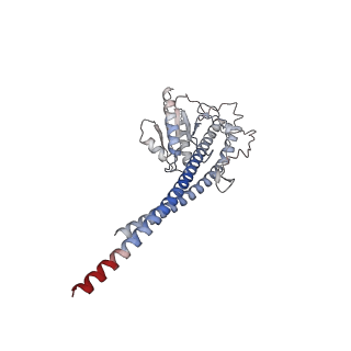 21267_6vok_g_v1-1
Chloroplast ATP synthase (R3, CF1)