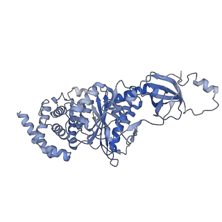 21268_6vol_B_v1-1
Chloroplast ATP synthase (R2, CF1FO)