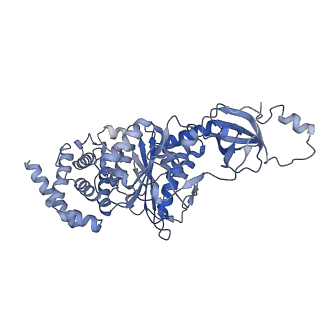 21268_6vol_B_v1-2
Chloroplast ATP synthase (R2, CF1FO)