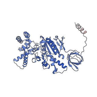 21268_6vol_C_v1-1
Chloroplast ATP synthase (R2, CF1FO)
