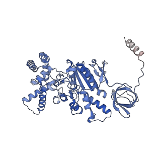 21268_6vol_C_v1-2
Chloroplast ATP synthase (R2, CF1FO)