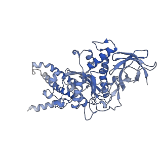 21268_6vol_D_v1-1
Chloroplast ATP synthase (R2, CF1FO)