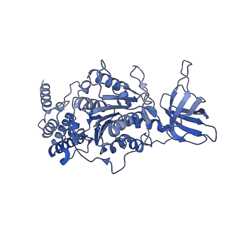 21268_6vol_E_v1-1
Chloroplast ATP synthase (R2, CF1FO)