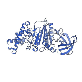21268_6vol_F_v1-1
Chloroplast ATP synthase (R2, CF1FO)