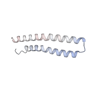 21268_6vol_T_v1-2
Chloroplast ATP synthase (R2, CF1FO)