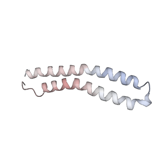 21268_6vol_V_v1-2
Chloroplast ATP synthase (R2, CF1FO)