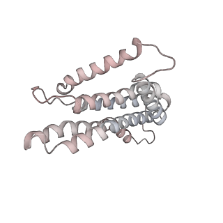 21268_6vol_a_v1-1
Chloroplast ATP synthase (R2, CF1FO)
