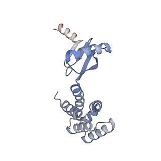 21268_6vol_d_v1-1
Chloroplast ATP synthase (R2, CF1FO)