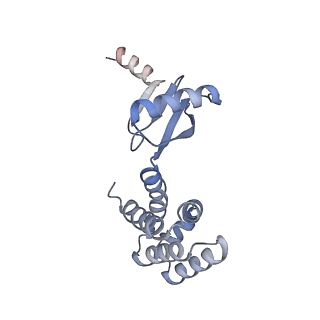 21268_6vol_d_v1-2
Chloroplast ATP synthase (R2, CF1FO)