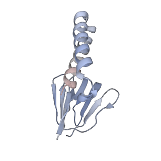 21268_6vol_e_v1-1
Chloroplast ATP synthase (R2, CF1FO)