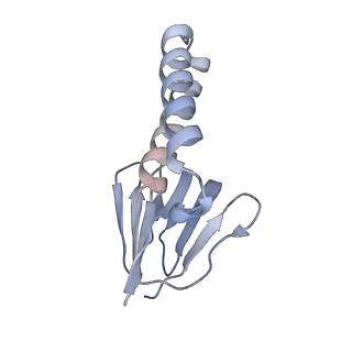 21268_6vol_e_v1-2
Chloroplast ATP synthase (R2, CF1FO)