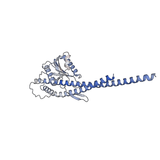 21268_6vol_g_v1-1
Chloroplast ATP synthase (R2, CF1FO)