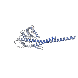 21268_6vol_g_v1-2
Chloroplast ATP synthase (R2, CF1FO)