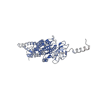 21269_6vom_A_v1-2
Chloroplast ATP synthase (R2, CF1)