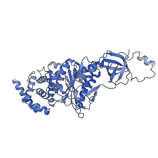 21269_6vom_B_v1-1
Chloroplast ATP synthase (R2, CF1)