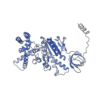 21269_6vom_C_v1-1
Chloroplast ATP synthase (R2, CF1)