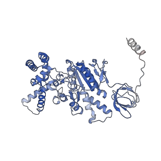 21269_6vom_C_v1-2
Chloroplast ATP synthase (R2, CF1)