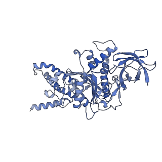 21269_6vom_D_v1-1
Chloroplast ATP synthase (R2, CF1)