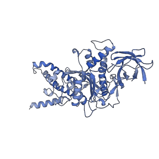 21269_6vom_D_v1-2
Chloroplast ATP synthase (R2, CF1)