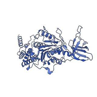 21269_6vom_E_v1-1
Chloroplast ATP synthase (R2, CF1)